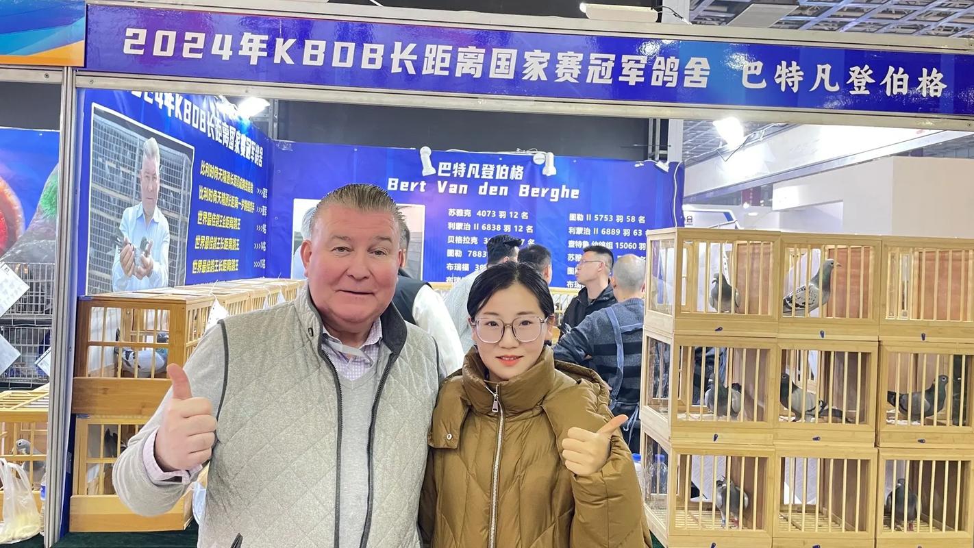 科汇中鸽网赛事直播