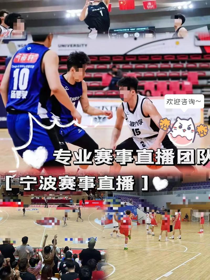 科汇中鸽网赛事直播