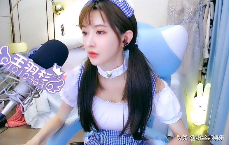 斗鱼直播串流码在哪