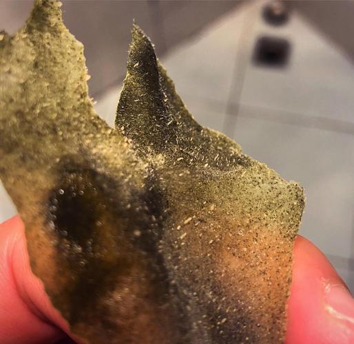 抖音里面的撕拉面膜