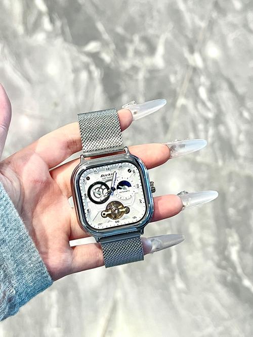 快手校长手表叫什么