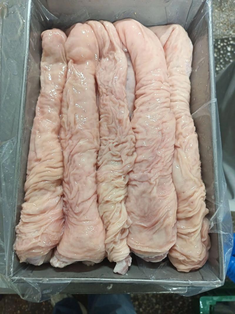 快手mc大肠头走光