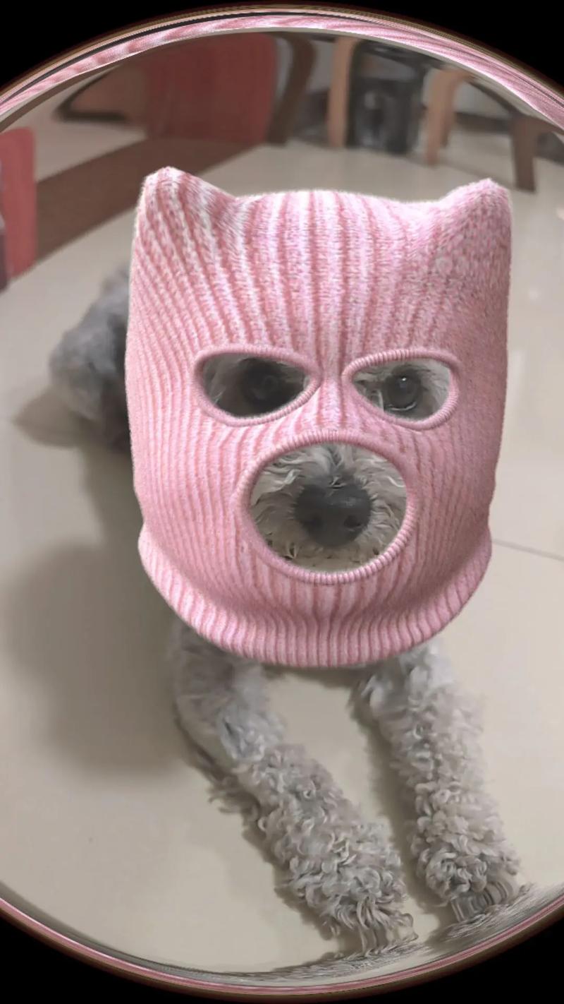 粉色头套的抖音男的