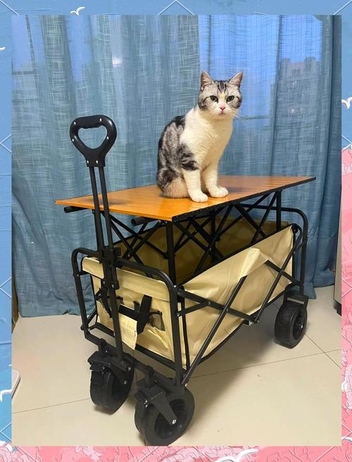 大同轩折叠汽车快手