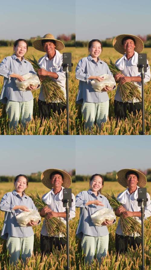 河北农民电视台直播