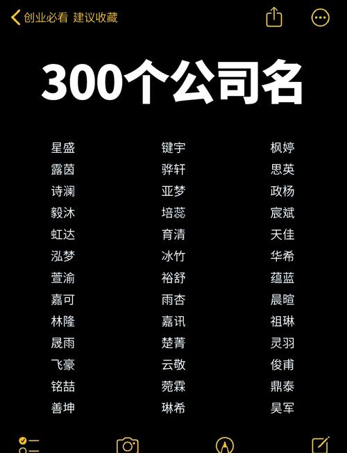 快手专业 公司名字