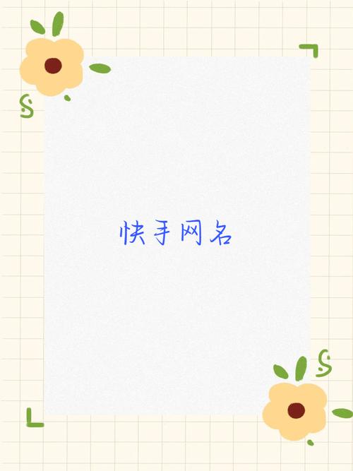 快手专业 公司名字