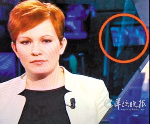 国外成人电视台直播