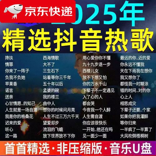 抖音改装音响放的歌