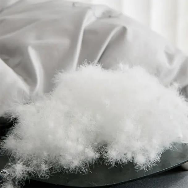 抖音上加拿大的鹅绒