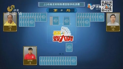 山东天天耍大牌直播