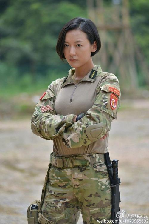 特种兵之火凤凰直播