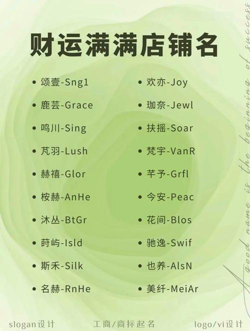 快手红人淘宝店铺名