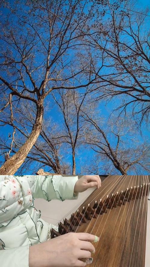 快手弹古筝视频姗姗
