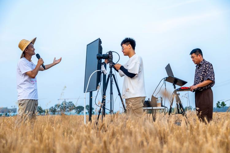 河南新农村频道直播