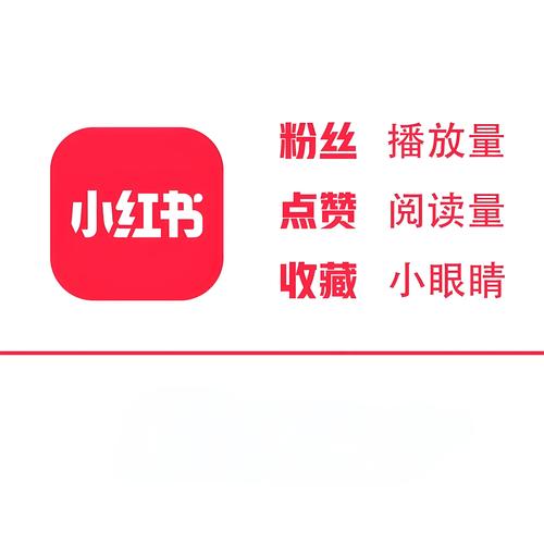 快手粉丝播放量软件