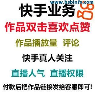 快手粉丝播放量软件