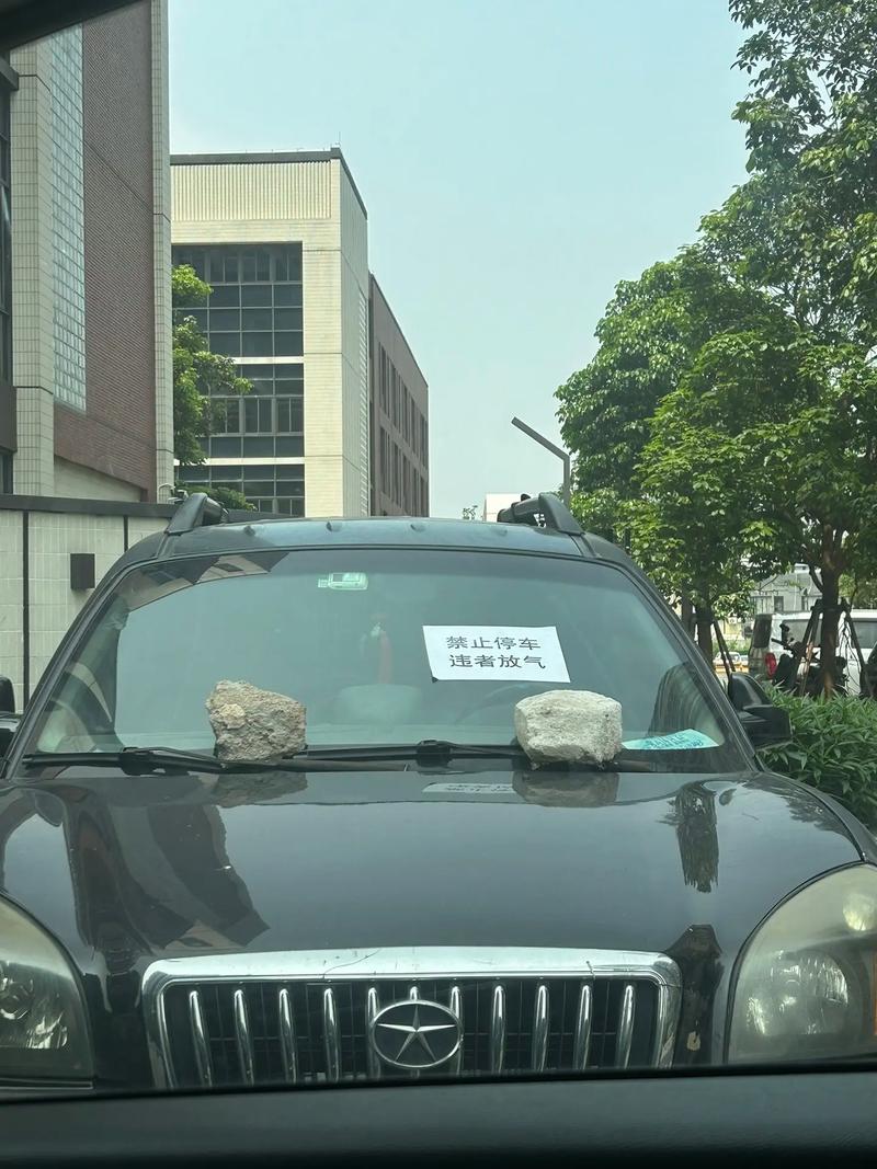 抖音乱停车贴违法吗