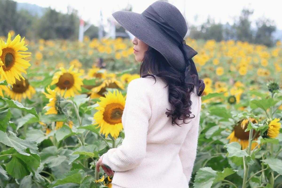 抖音网红墨镜太阳花