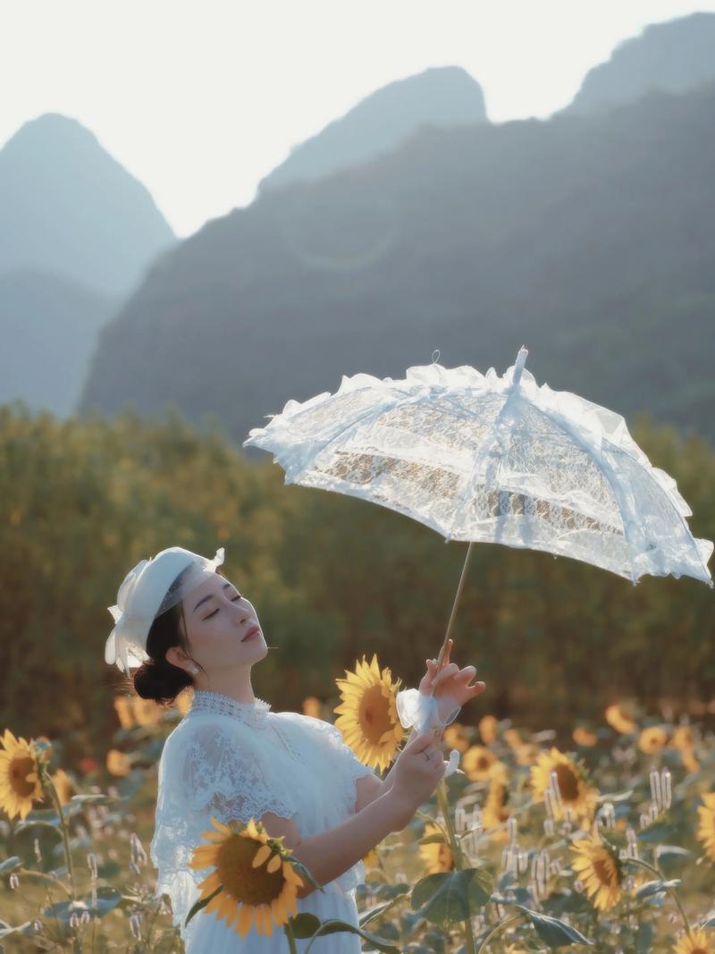 抖音向日葵音乐配乐