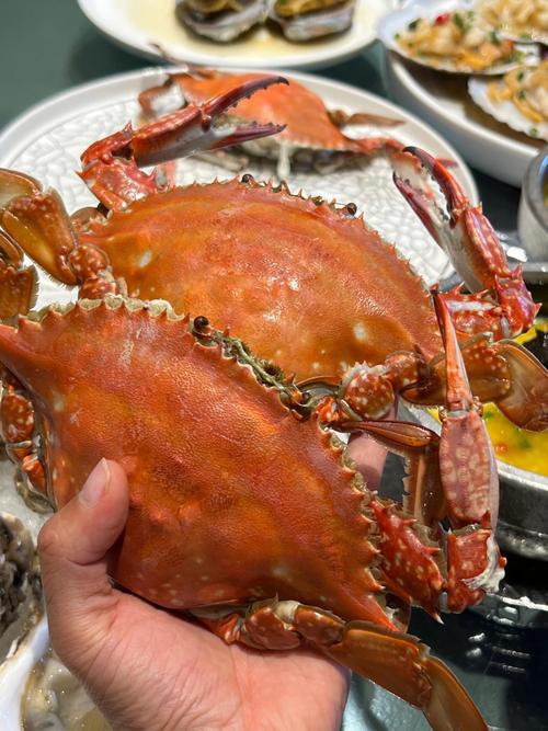 东北快手孩子吃海鲜