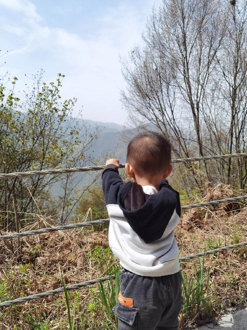 抖音上小孩拉着箱子