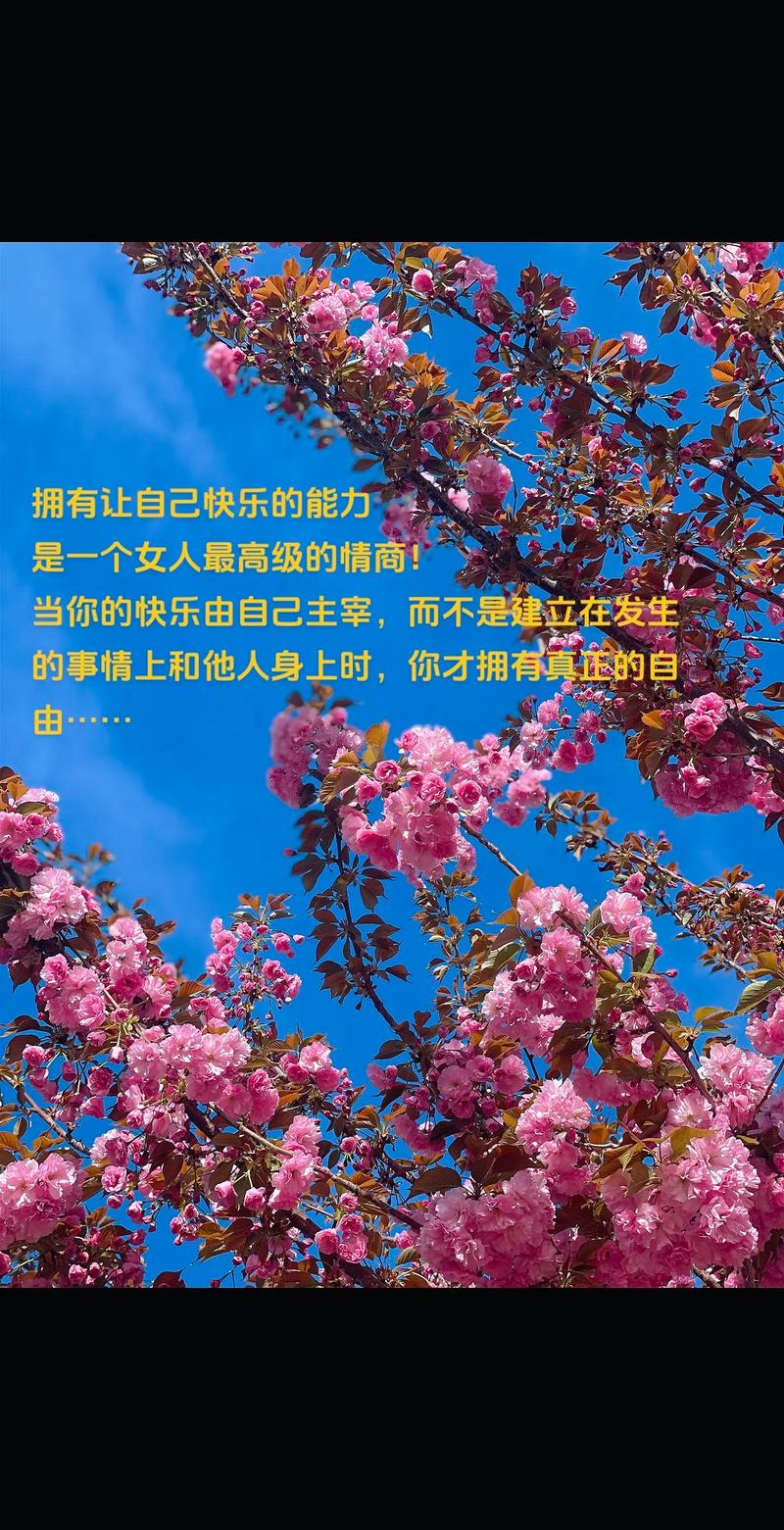 抖音提高情商的系列