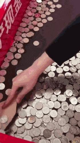 抖音上金猪动态屏保