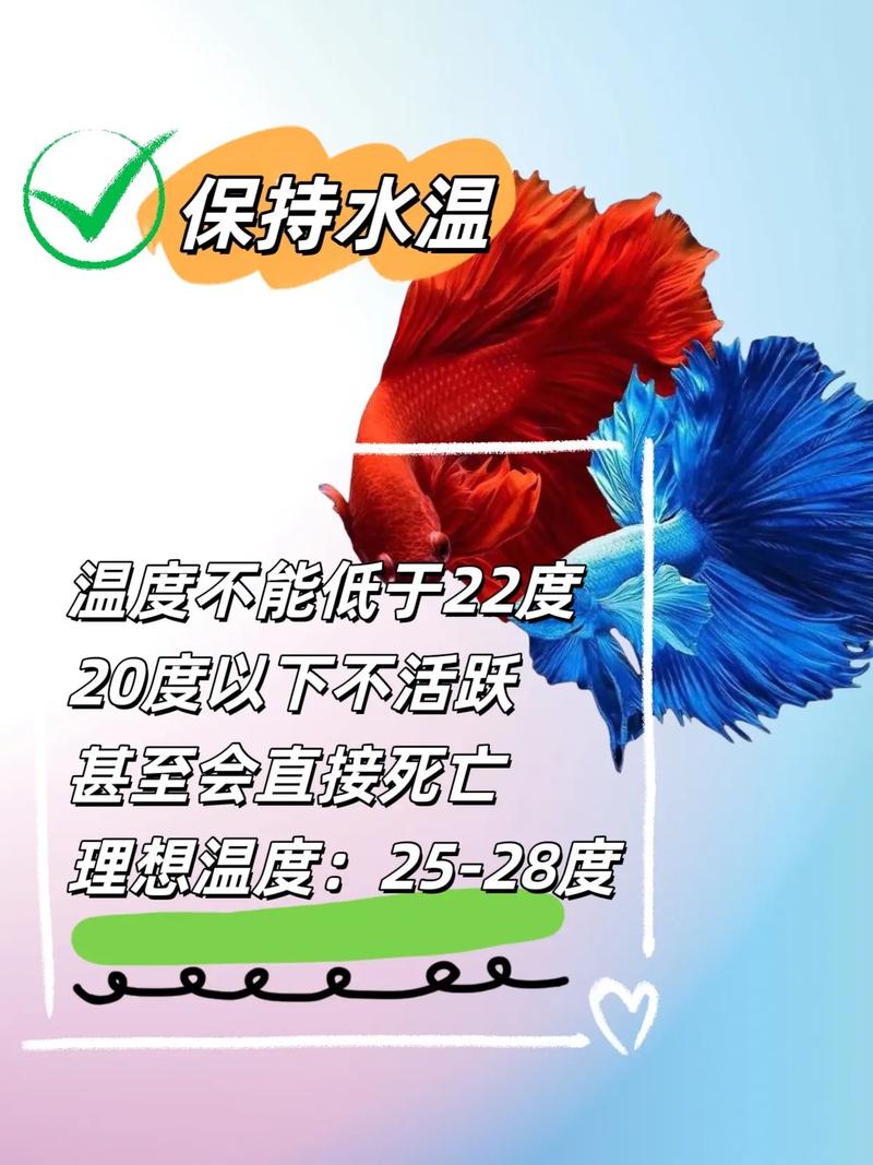 斗鱼怎么用电脑直播