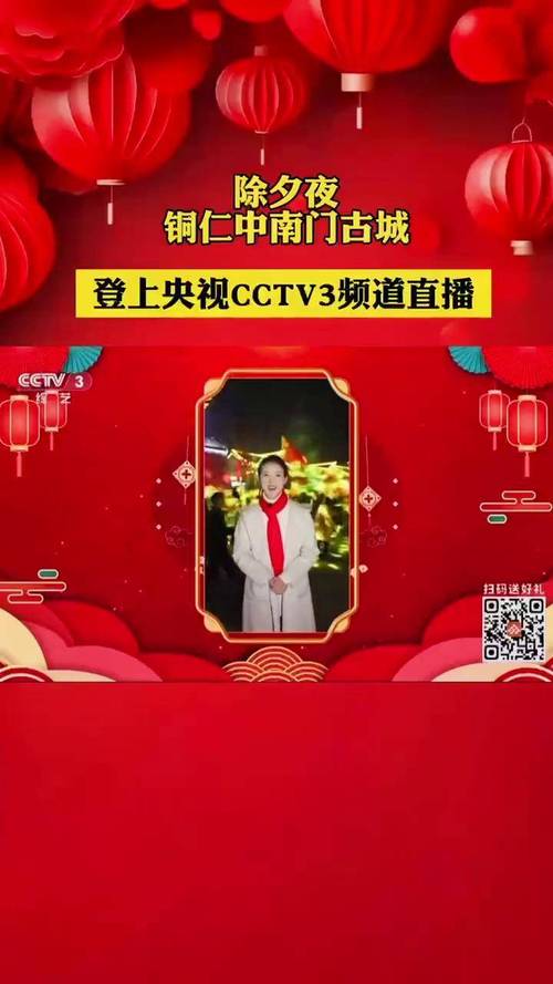 哪里可以看央视直播
