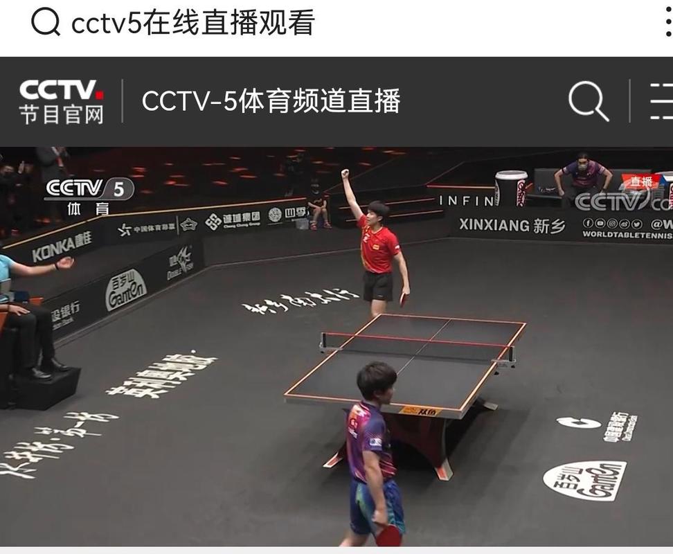 哪里可以看央视直播