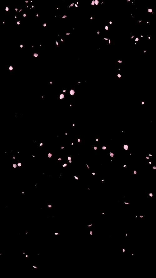 快手花瓣飘落的特效