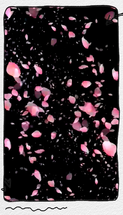 快手花瓣飘落的特效