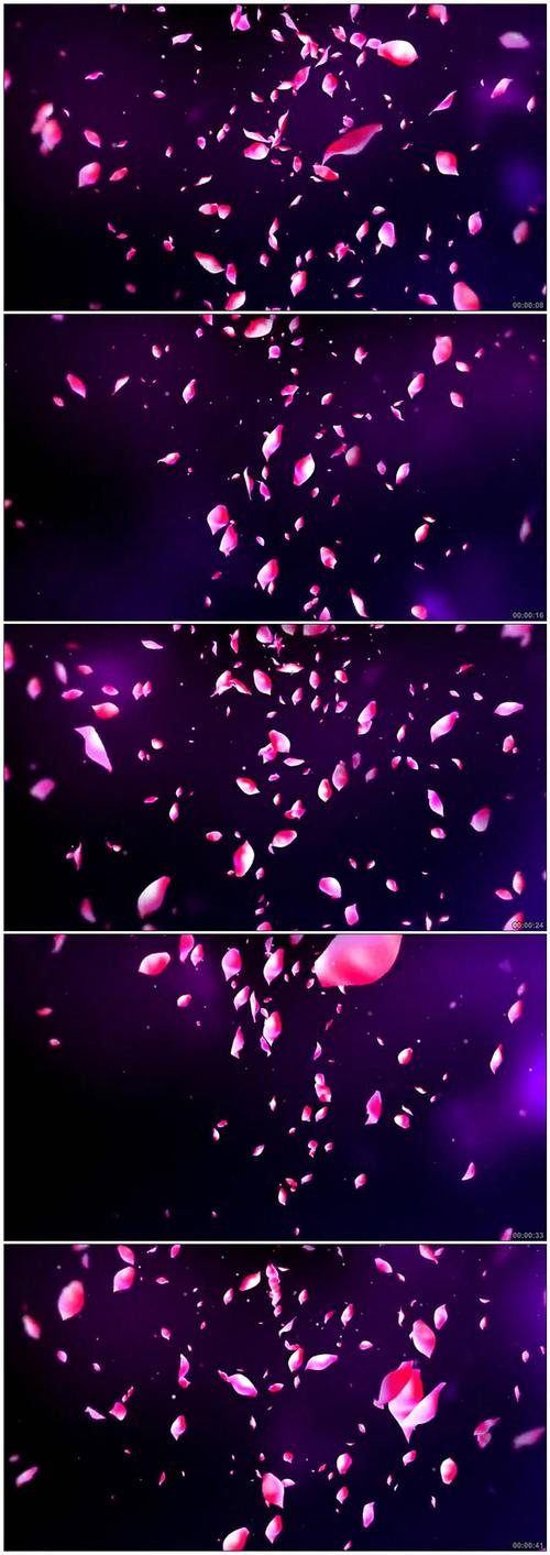 快手花瓣飘落的特效