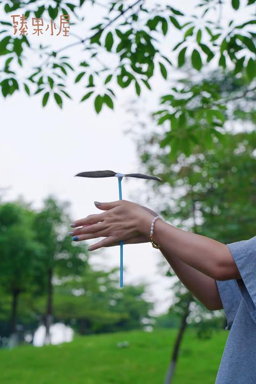 抖音手机飞行竹蜻蜓
