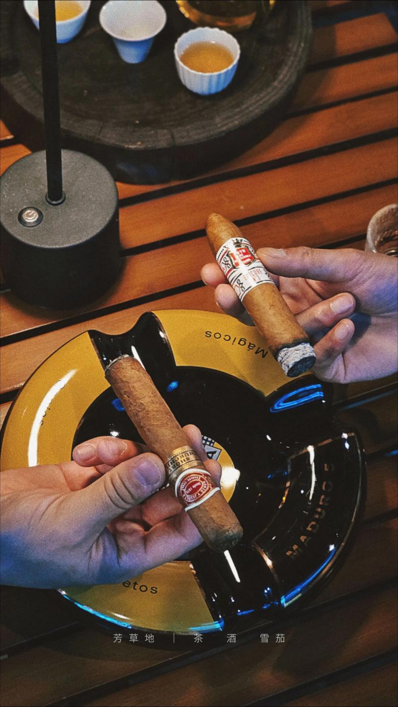 抖音歌曲雪茄爱上表