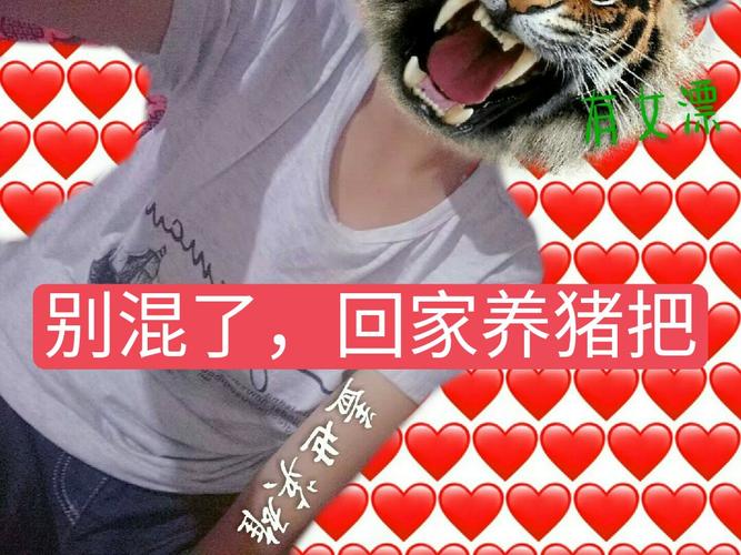 快手人气就是上不去